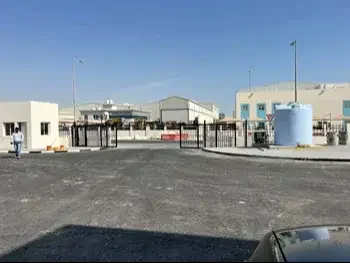 Warehouses & Stores - Al Wakrah  - Al Wakrah  -Area Size: 1000 Square Meter