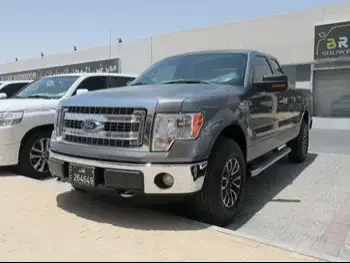  Ford  F  150  2013  Automatic  100,000 Km  8 Cylinder  Four Wheel Drive (4WD)  Pick Up  Gray  With Warranty