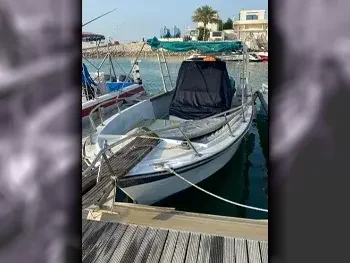 قوارب سريعة بالهامبار  قطري  مع موقف