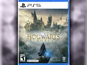 Hogwarts Legacy  - PlayStation 5  Video Games Blu-ray