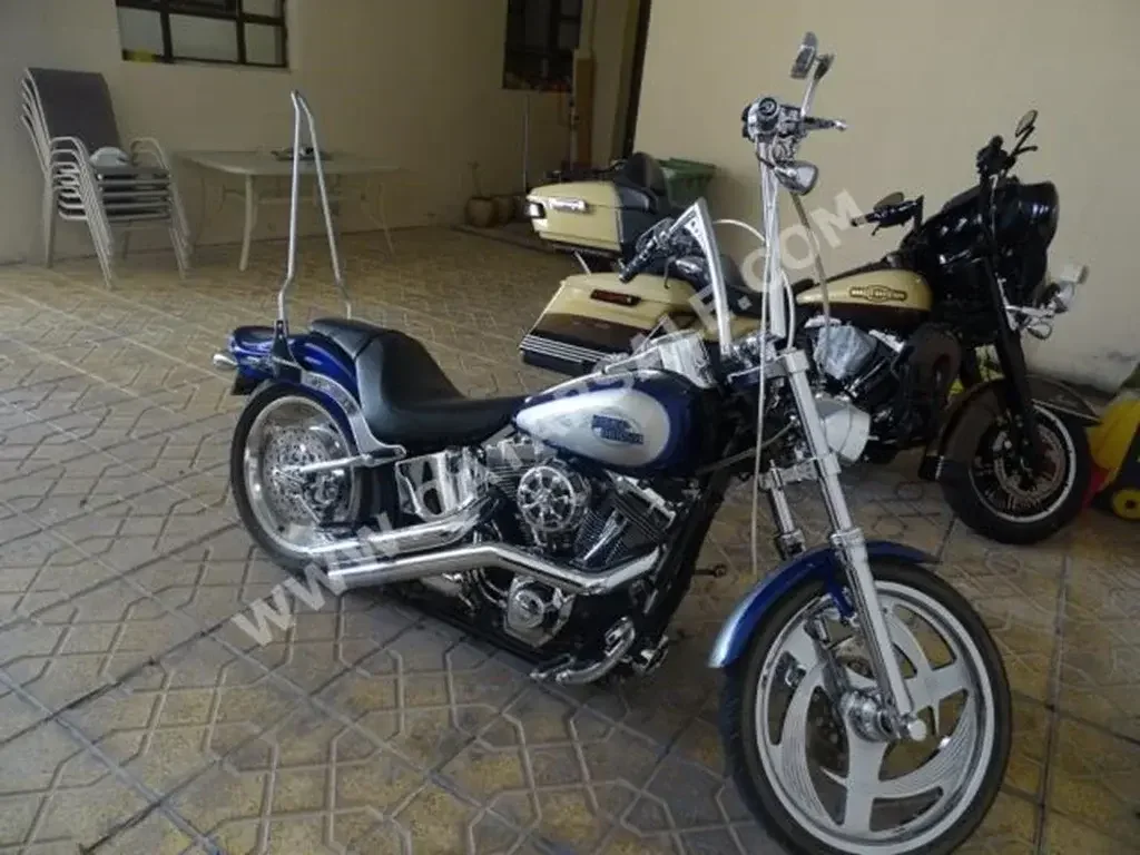 Harley Davidson  Softail - Year 2007 - Color Silver - Gear Type Manual - Mileage 35000 Km