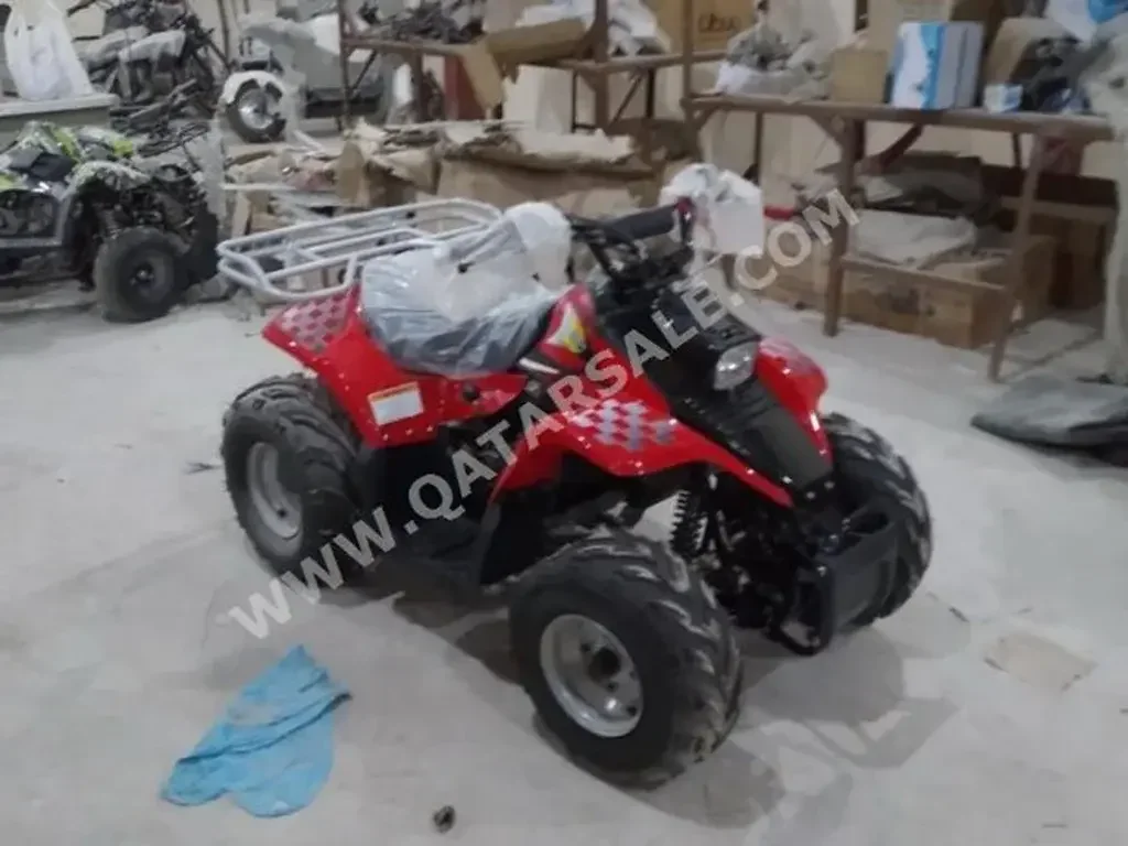 ATV - Year 2022 - Color Red - Gear Type Automatic - Mileage 0 Km