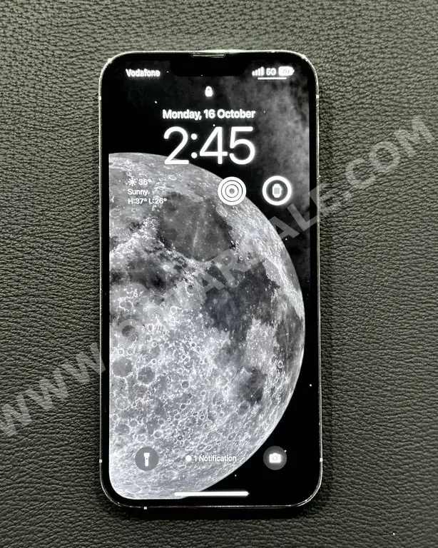 Apple  - iPhone 13  - Pro Max  - Silver  - 256 GB