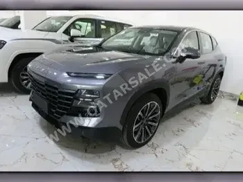 Jetour  Dashing  Flag Ship  2024  Automatic  0 Km  4 Cylinder  Front Wheel Drive (FWD)  SUV  Gray  With Warranty
