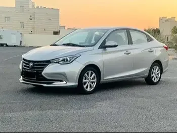 Changan  Alsvin  2020  Automatic  80,000 Km  4 Cylinder  Front Wheel Drive (FWD)  Sedan  Silver  With Warranty