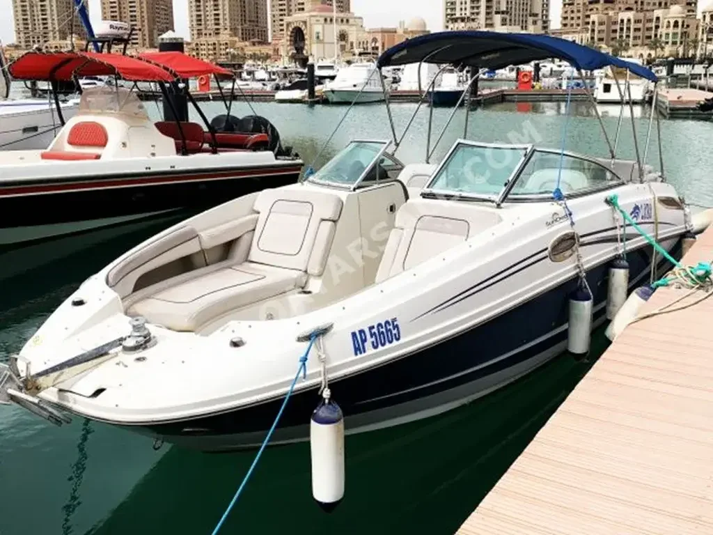 Speed Boat Sea Ray  Sun Deck 260  With Parking