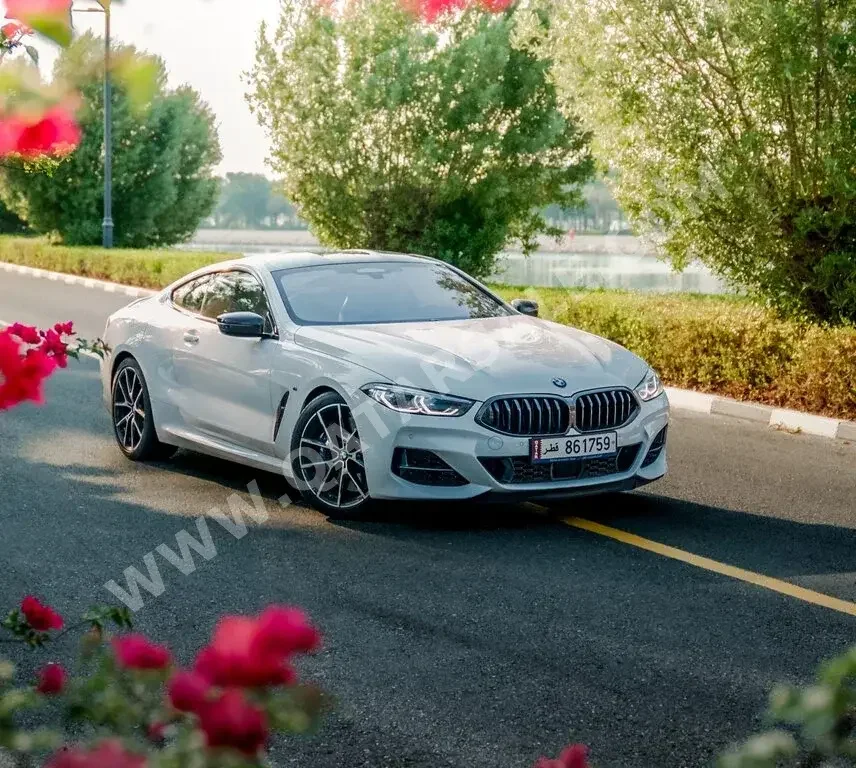 BMW  8-Series  850i  2019  Automatic  20,000 Km  8 Cylinder  Front Wheel Drive (FWD)  Sedan  Silver  With Warranty