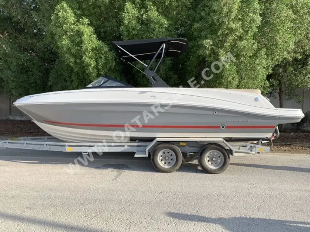 Speed Boat Bayliner  VR6  250  Mercruiser