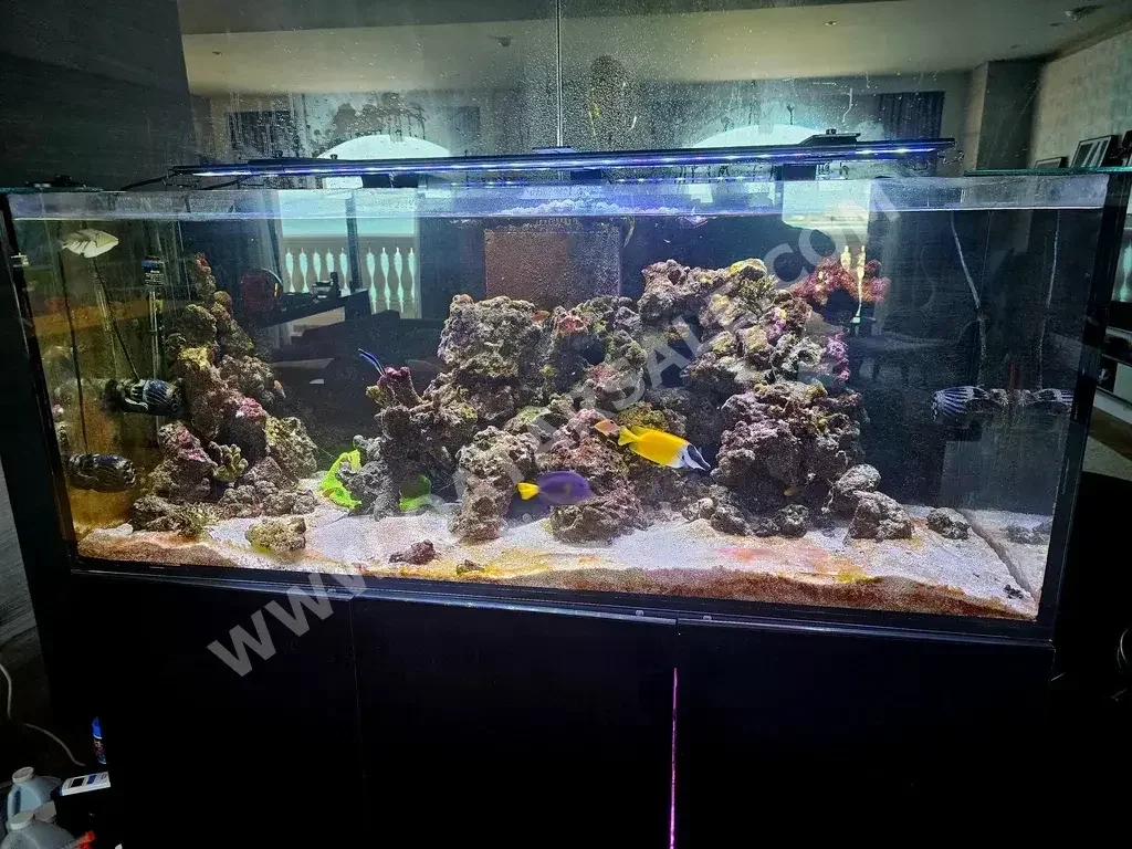 Aquariums With Motor  With Cabinet