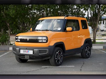 Baojun  Yep  2023  Automatic  0 Km  0 Cylinder  Rear Wheel Drive (RWD)  SUV  Dark Orange