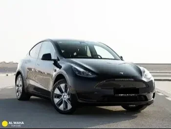 Tesla  Model Y  2022  Automatic  0 Km  0 Cylinder  Rear Wheel Drive (RWD)  SUV  Black