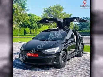 Tesla  Model X  Lexury  Black  2024