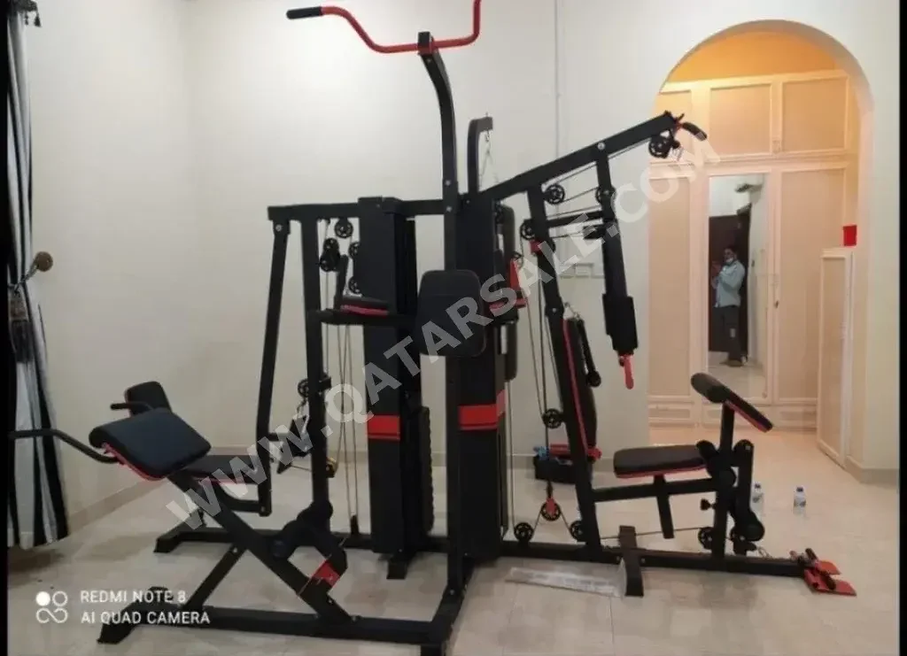 Gym Equipment Machines - Biceps Curl  - Multicolor  With Cushions  With Installation  With Delivery