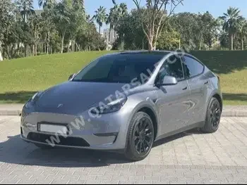 Tesla  Model Y  SUV ( AWD )  Gray Metallic  2024