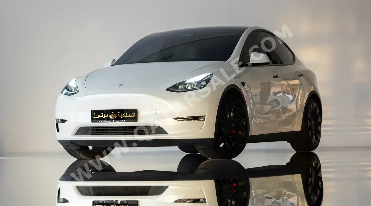 Tesla  Model Y  Performance  2023  Automatic  18,500 Km  0 Cylinder  Four Wheel Drive (4WD)  SUV  White  With Warranty