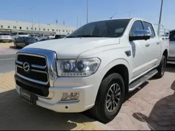 Zxauto  Terralord  2019  Manual  163,000 Km  4 Cylinder  Four Wheel Drive (4WD)  Pick Up  White