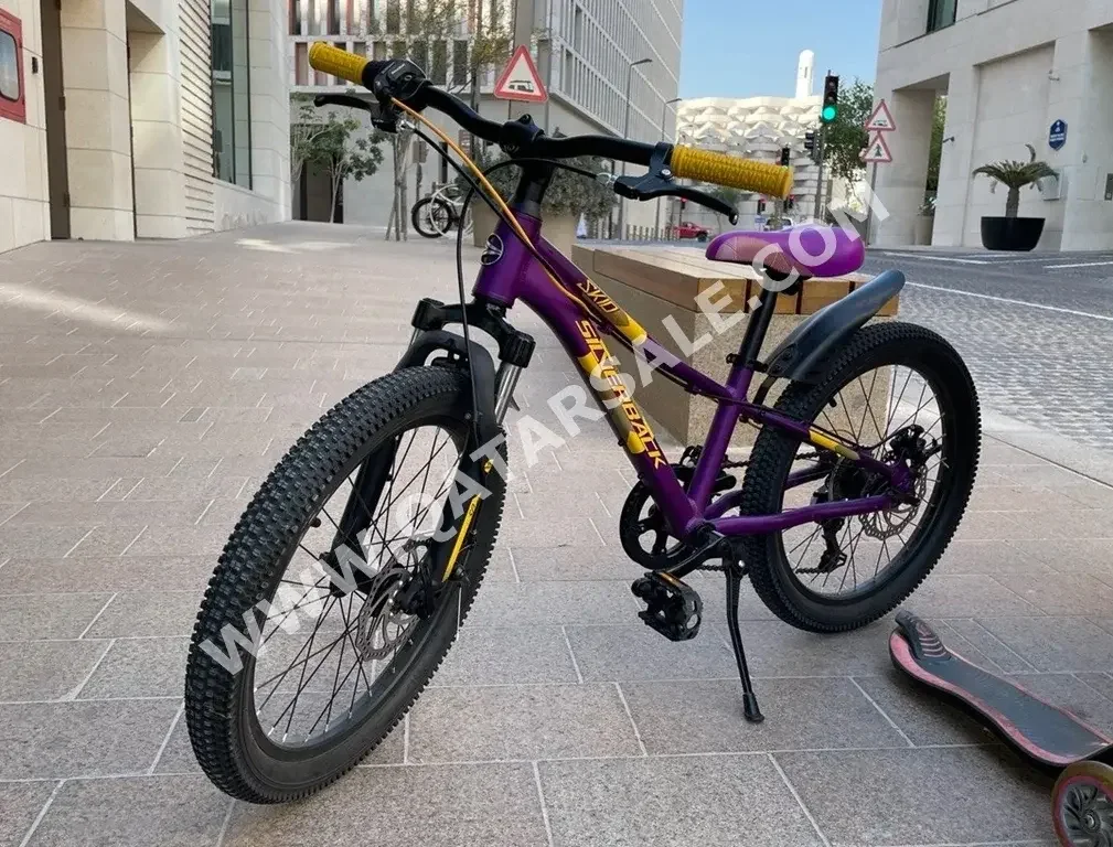 دراجة اطفال  - صغير (15-17 بوصة)  - متعدد الألوان