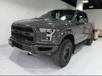 Ford  Raptor  SVT  2018  Automatic  176,000 Km  8 Cylinder  Four Wheel Drive (4WD)  Pick Up  Gray