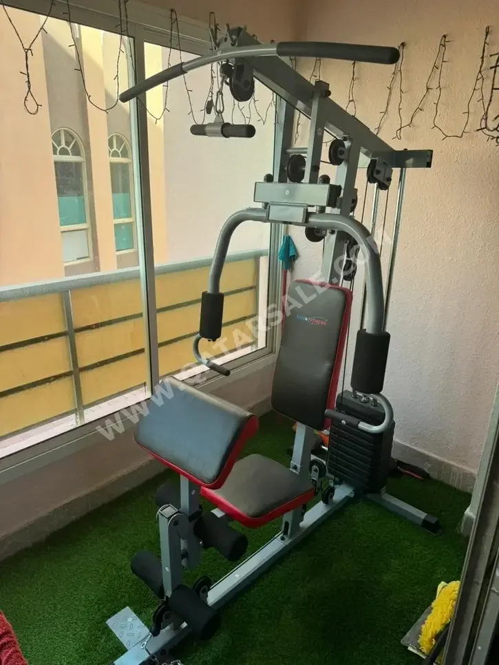 Gym Equipment Machines Racks And Gym Systems  Gray  Euro Fitness  2022  120 Kg