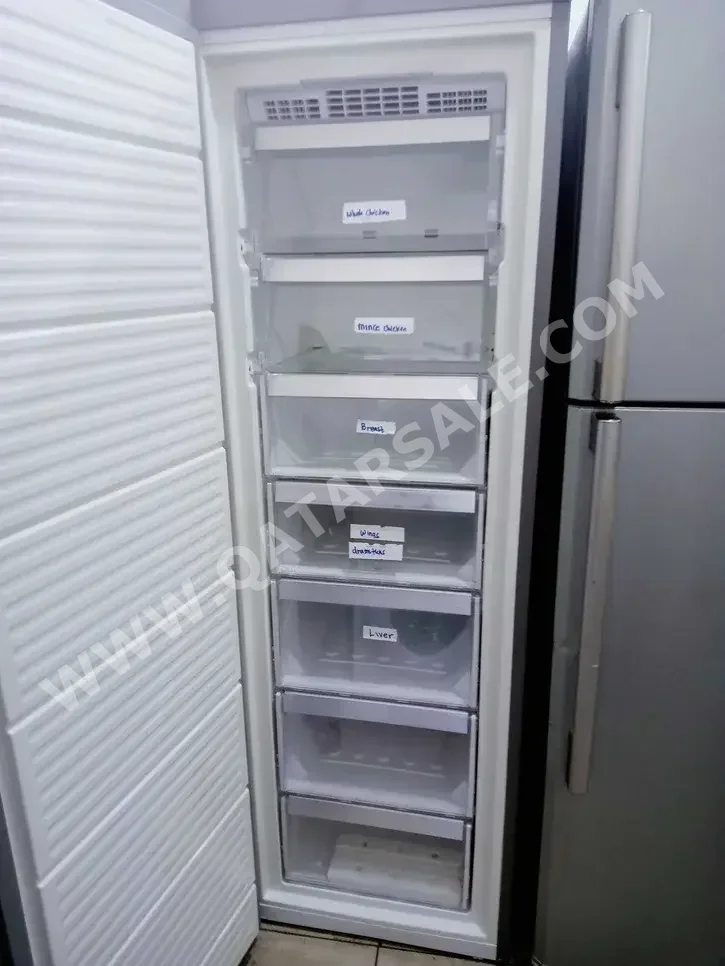 Freezers Silver  2020  With Delivery /  551 Lt And Above  Upright