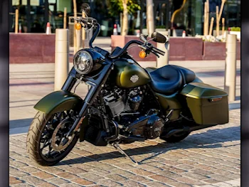  Harley Davidson -  2022 - Color Green -  Warranty