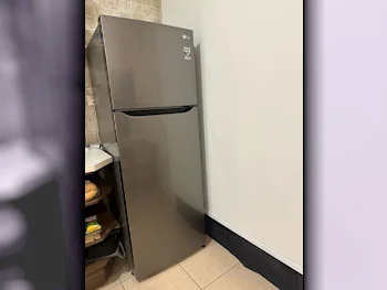 LG  Classic Refrigerator  Gray