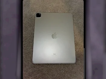 Apple  iPad Pro  (3rd generation)  2022 -  256 GB - Connectivity Wi Fi Only