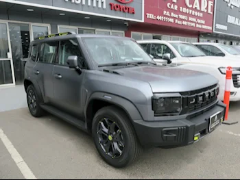 Jetour  T2  2024  Automatic  0 Km  4 Cylinder  Four Wheel Drive (4WD)  SUV  Gray Matte  With Warranty