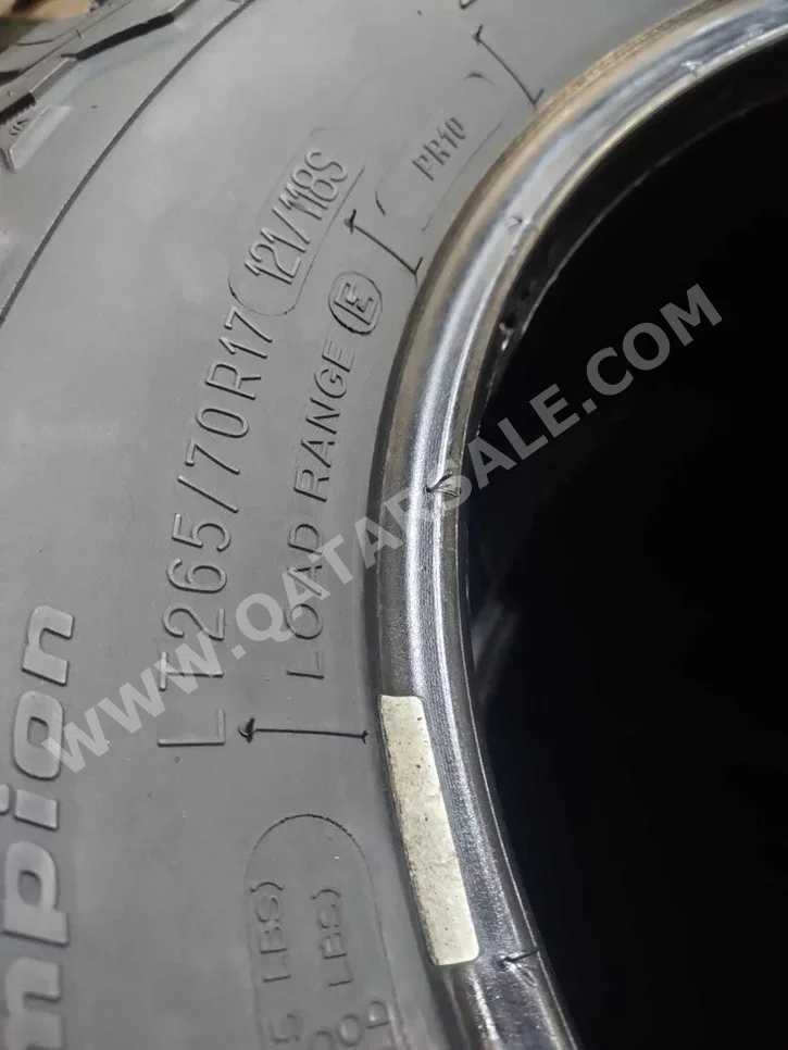 Tire & Wheels BFgoodrich Made in United States of America (USA) /  4 Seasons  250 mm  17"