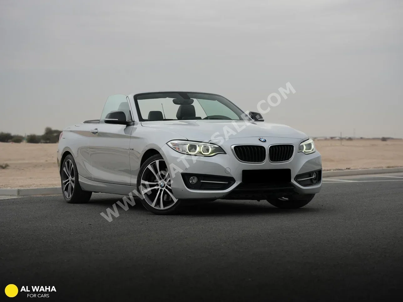 BMW  2-Series  228i  2016  Automatic  50,000 Km  4 Cylinder  Rear Wheel Drive (RWD)  Convertible  Silver