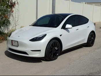 Tesla  Model Y  Performance  2021  Automatic  67,000 Km  0 Cylinder  All Wheel Drive (AWD)  Sedan  White  With Warranty