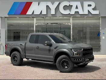 Ford  Raptor  2018  Automatic  89,000 Km  6 Cylinder  Four Wheel Drive (4WD)  Pick Up  Gray