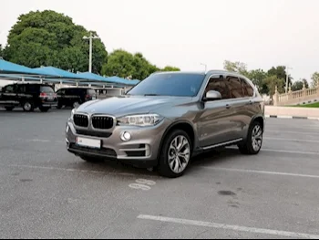 BMW  X 5  6 Cylinder  SUV 4x4  Grey  2018
