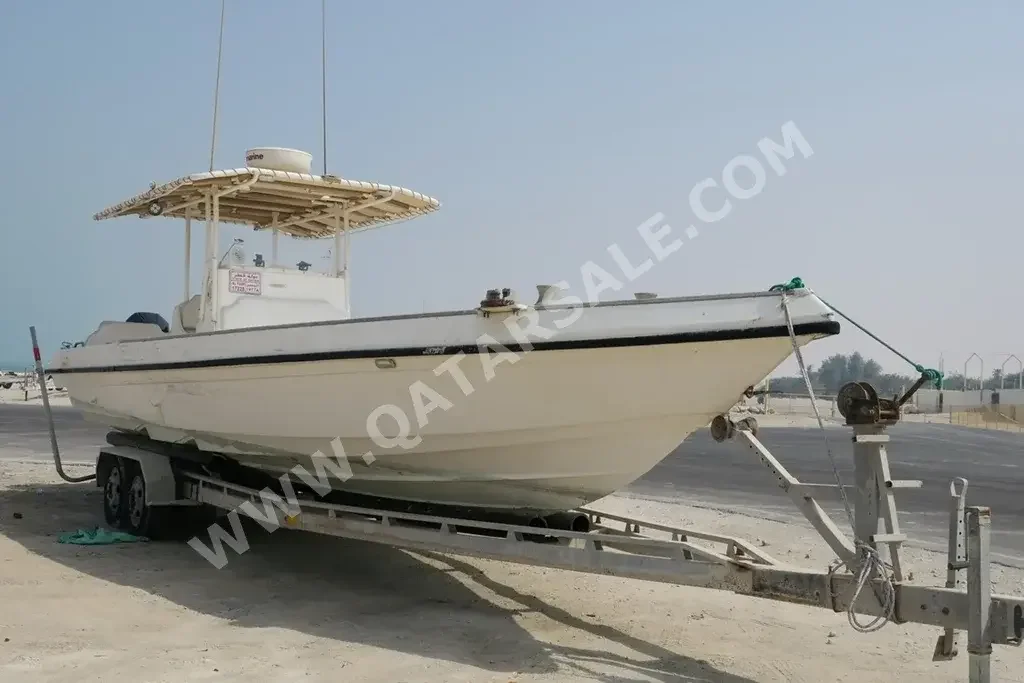 قوارب صيد وشراعية بالهامبار  36  قطر  2015  أبيض