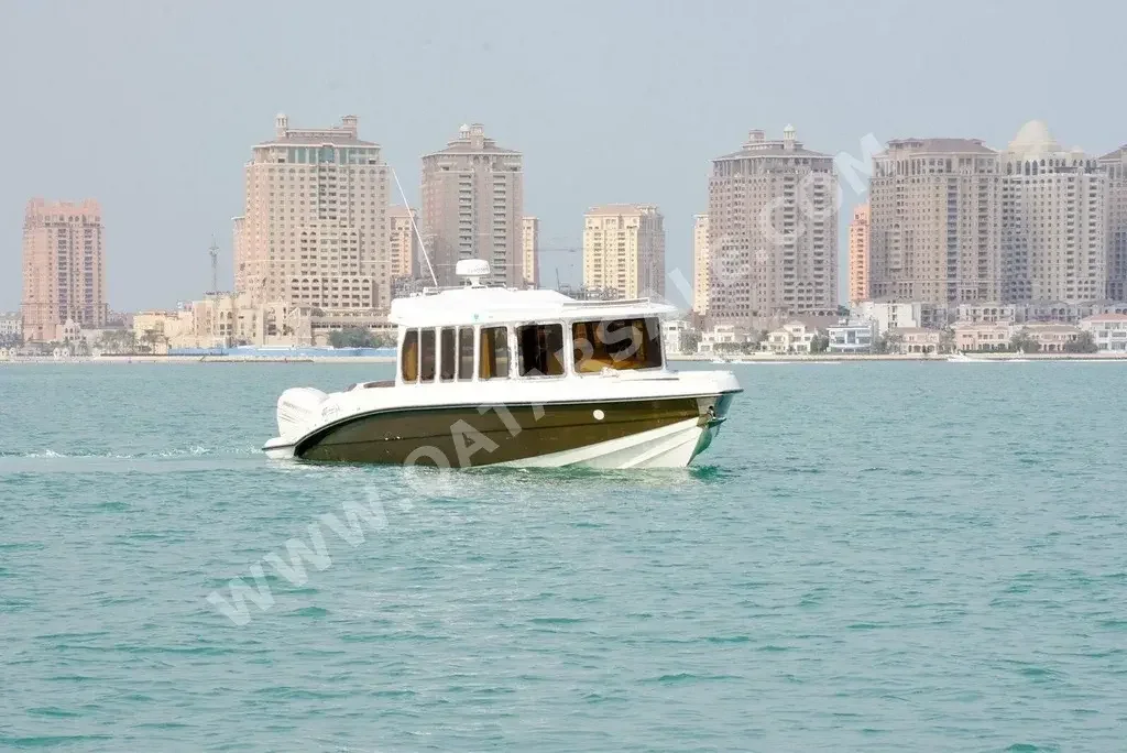 قوارب صيد وشراعية - حالول  - قطر  - 2016  - ابيض + ذهبي