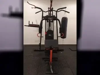 Gym Equipment Machines - Black  - Back Extension