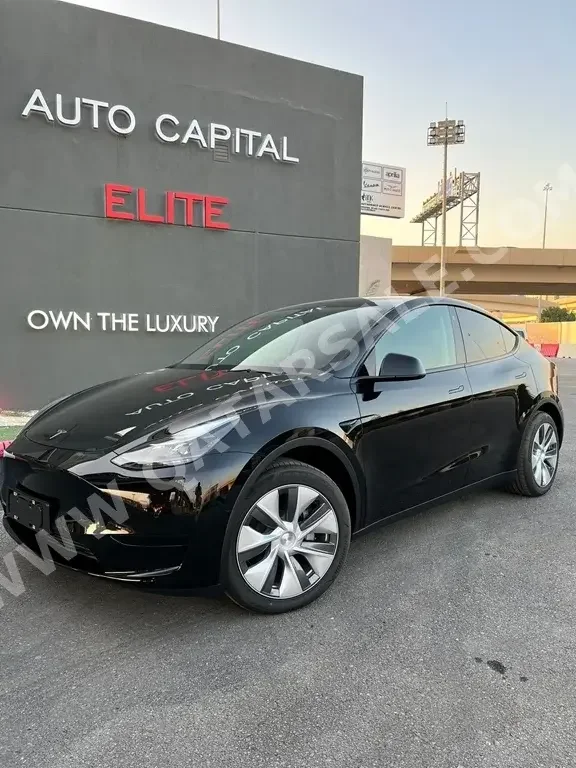 Tesla  Model 3  Performance  2022  Automatic  0 Km  0 Cylinder  All Wheel Drive (AWD)  Coupe / Sport  Black  With Warranty