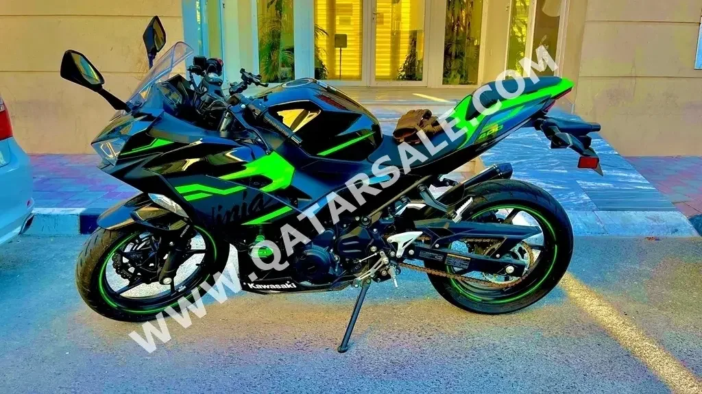 Kawasaki  Ninja -  2020 - Color Black