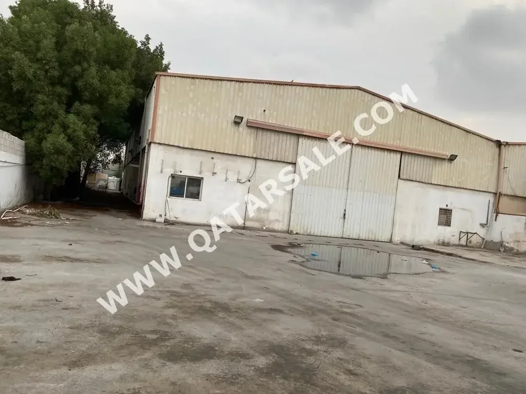 Warehouses & Stores - Doha  - Industrial Area  -Area Size: 2500 Square Meter